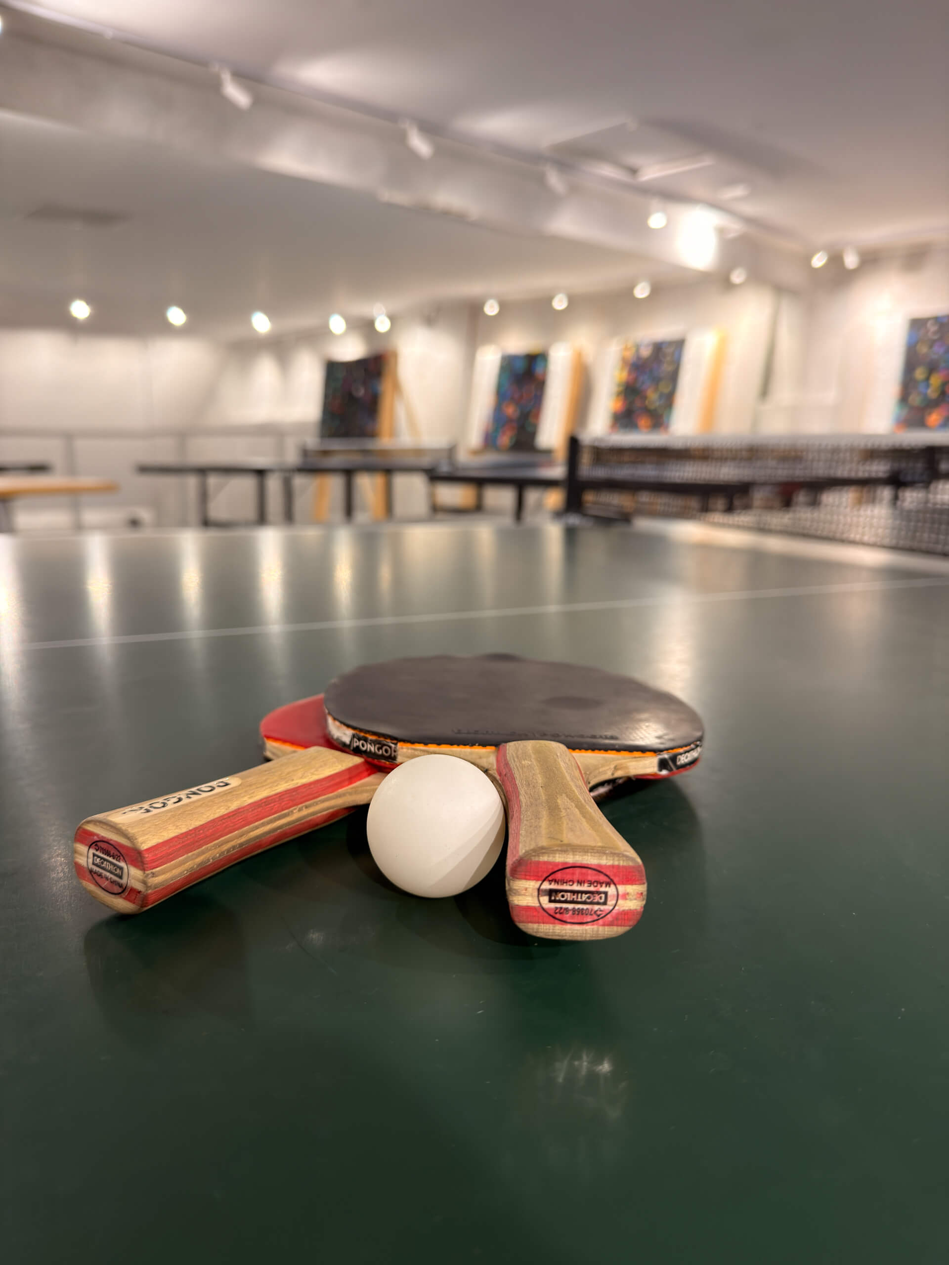 Stolní tenis