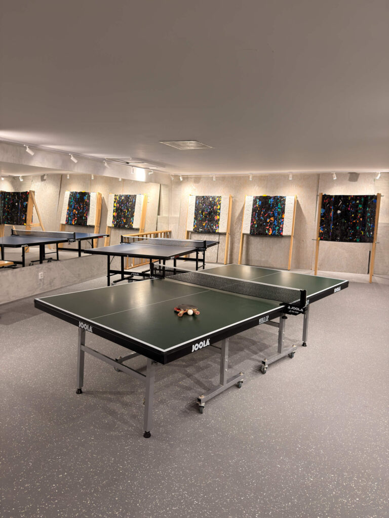 Stolní tenis