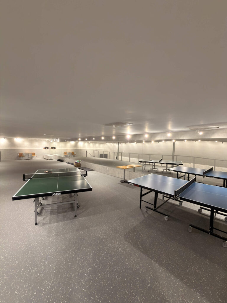 Stolní tenis