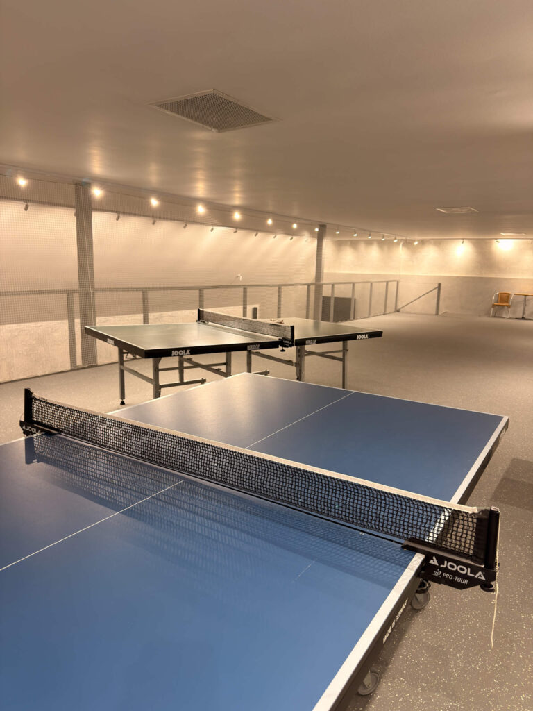 Stolní tenis